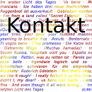 Cover: Kontakt