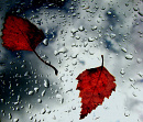 Cover: Herbstwetter