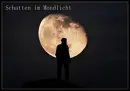 Cover: Schatten im Mondlicht