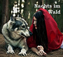 Cover: Nachts im Wald...