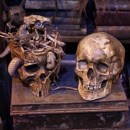 Cover: Les Catacombes de Paris