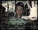 Cover: Spiegelbild