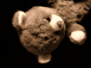 Cover: Der Teddybär