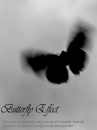 Cover: Butterfly Effect