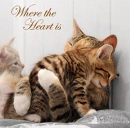 Cover: Where The Heart Is
