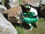 Foto des Kostüms