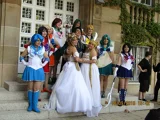 Top-3-Foto - von -Bloom-