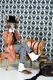 Top-3-Foto - von Franky