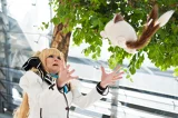 Top-3-Foto - von Franky