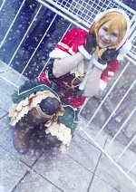 Cosplay-Cover: Kousaka Honoka [Christmas idolized]