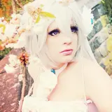 Top-3-Foto - von Shusei