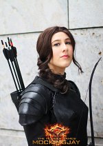 Cosplay-Cover: Katniss Everdeen Mockingjay