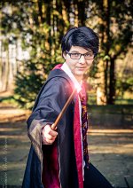 Cosplay-Cover: James "Krone" Potter