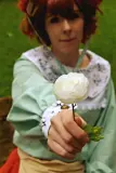 Top-3-Foto - von Fumaria