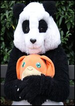 Cosplay-Cover: Panda