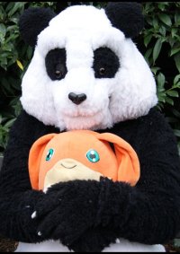 Cosplay-Cover: Panda