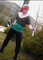 Cosplay-Cover: Zoro (Strong World)