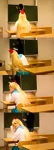 Foto des Kostüms