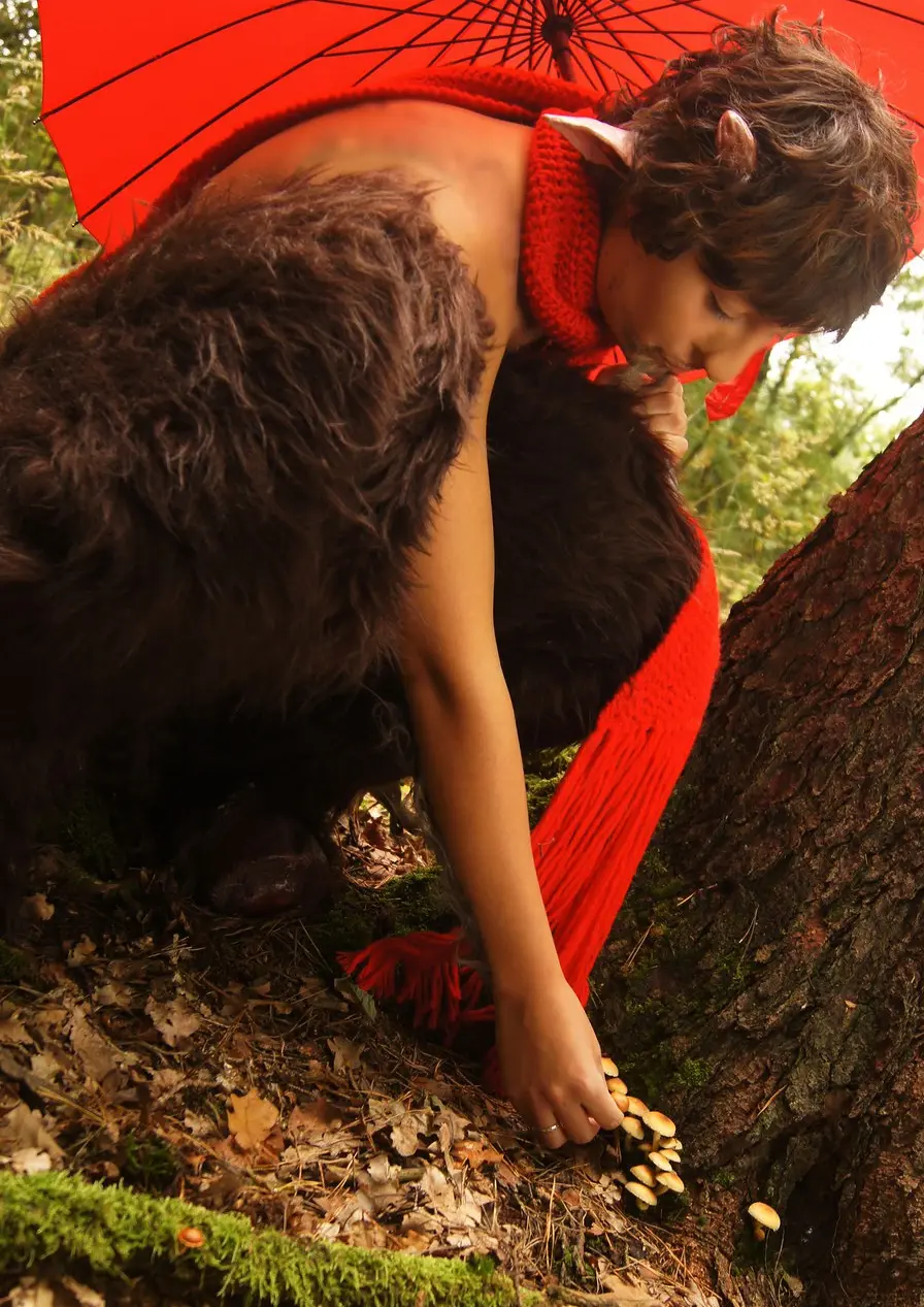 Cosplay-Cover: Mr. Tumnus