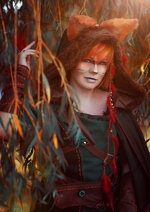 Cosplay-Cover: Robin Hood