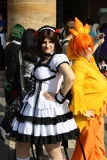 Top-3-Foto - von Polka
