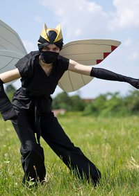 Cosplay-Cover: Ninjask