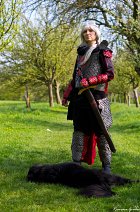 Cosplay-Cover: Rhaegar Targaryen