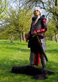 Cosplay-Cover: Rhaegar Targaryen