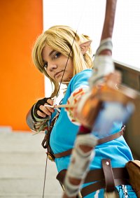 Cosplay-Cover: Link [Wii U]