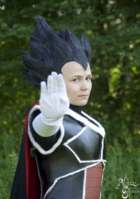 Cosplay-Cover: Vegeta (DBM)