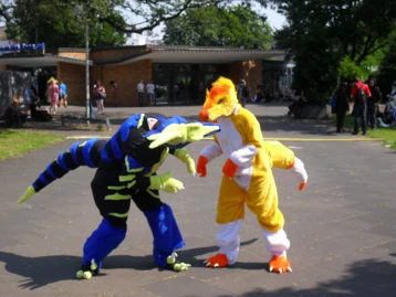 Foto