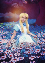 Cosplay-Cover: Alice