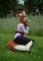 Cosplay-Cover: Holo