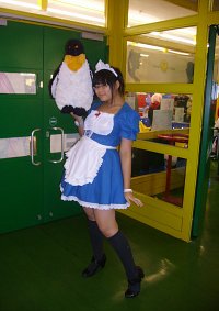 Cosplay-Cover: Maid