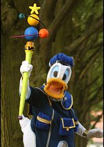 Cosplay-Cover: Donald Duck