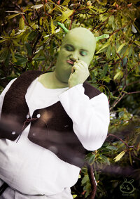 Cosplay-Cover: Shrek