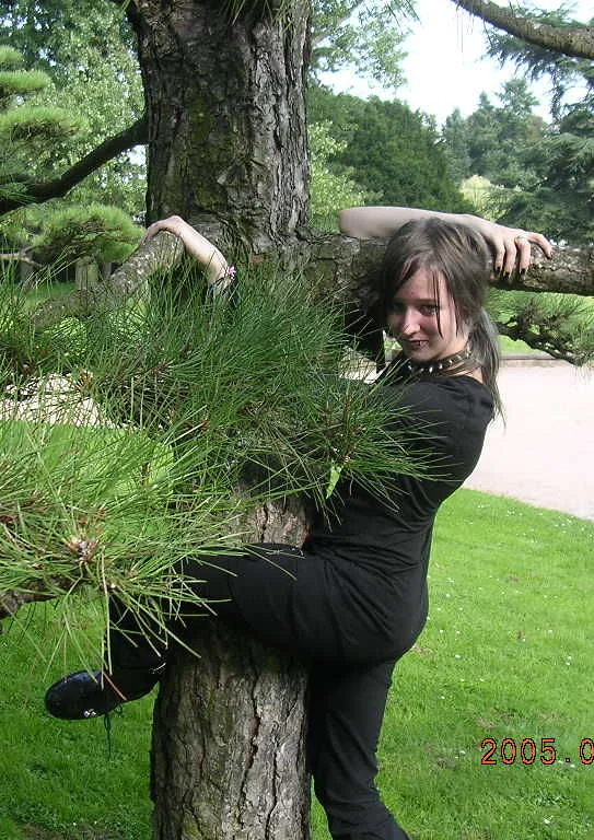 Cosplay-Cover: Baumabrammel-Fin