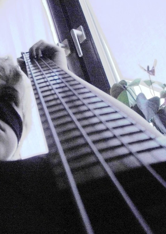 Cosplay-Cover: Reita Spast Versuch