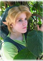 Cosplay-Cover: Link  Wind Waker