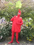 Foto des Kostüms