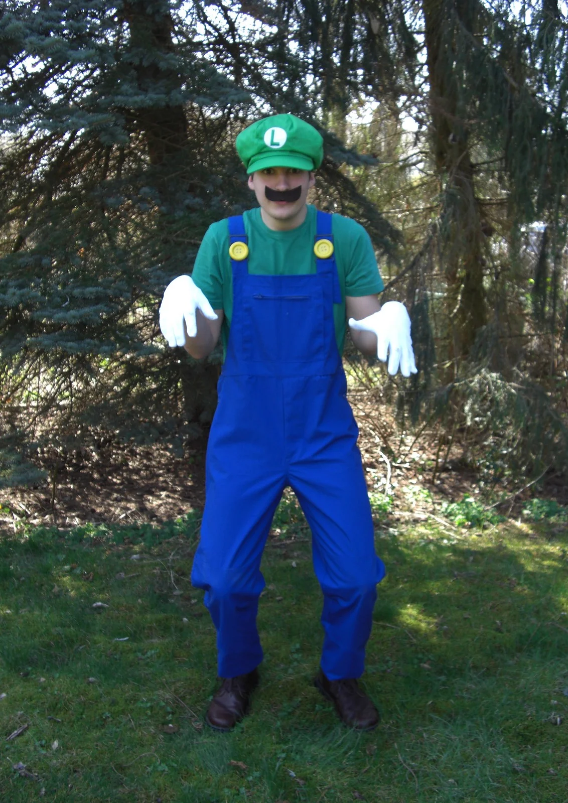Cosplay-Cover: Luigi