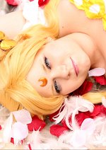 Cosplay-Cover: プリンセス・セレニティ  Prinzessin Serenity