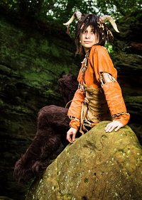 Cosplay-Cover: Fauna Erla