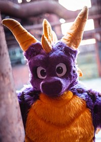 Cosplay-Cover: Spyro