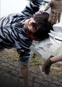 Cosplay-Cover: Zebra -MATRYOSHKA- (NicoNicoSinger)