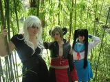 Top-3-Foto - von Cucco