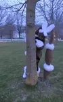 Foto des Kostüms