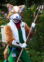 Cosplay-Cover: Fox McCloud