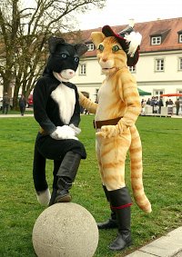 Cosplay-Cover: Kater