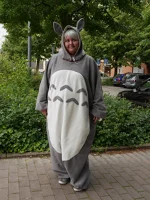 Cosplay-Cover: Totoro